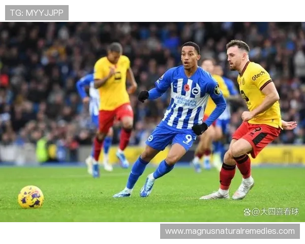 布莱顿在英超赛季中表现稳健，球队信心高涨争夺前四名资格