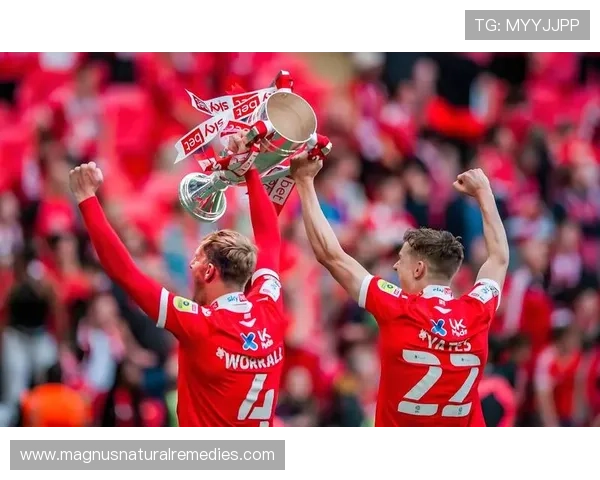 英超西汉姆积分纪录