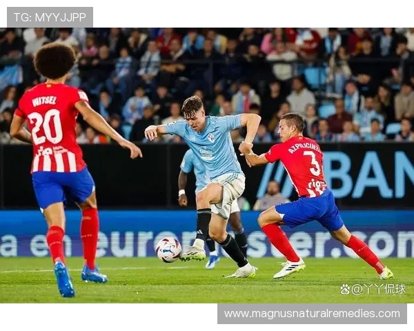 西甲马竞球迷狂热