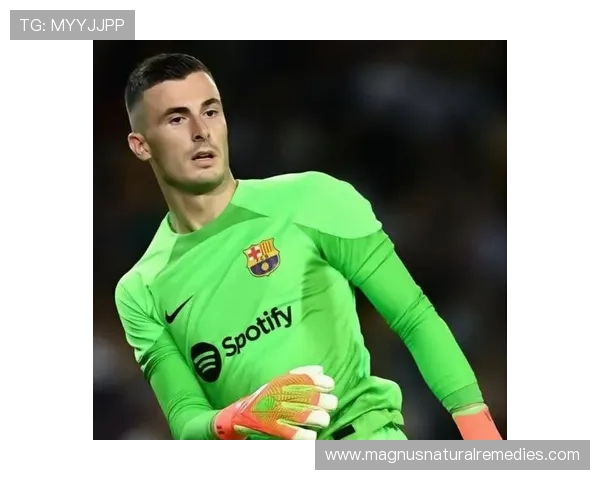 伊尼亚基比赛影响力