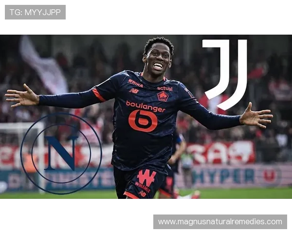 乔纳森·戴维：从潜力股到稳定射手的历史定位解析