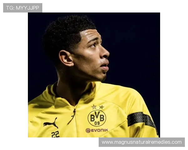 贝林厄姆的成功背后:个人能力与战术适配的权重几何?