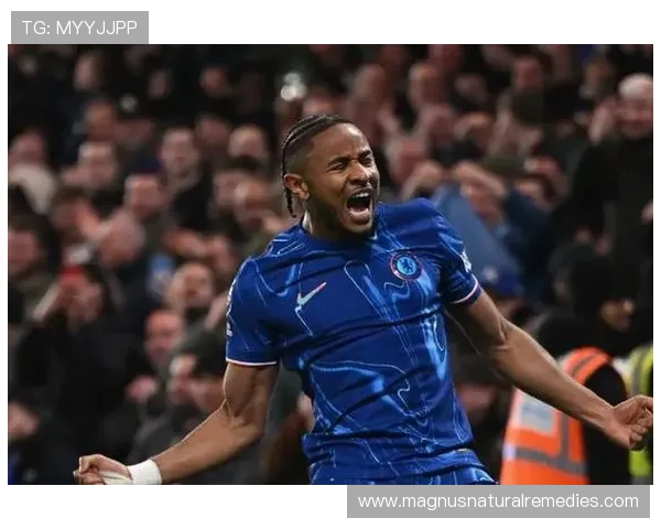 帕尔默 vs 恩昆库：队内核心定位与战术作用差异