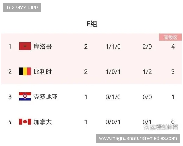加拿大世界杯B组成绩：一胜一平一负排名第二